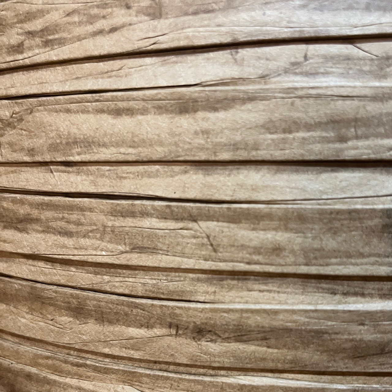 1/2" flat paper splint