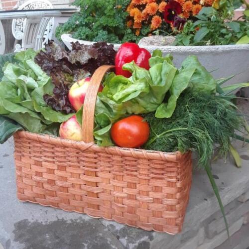 Allison Coldwell / Basket