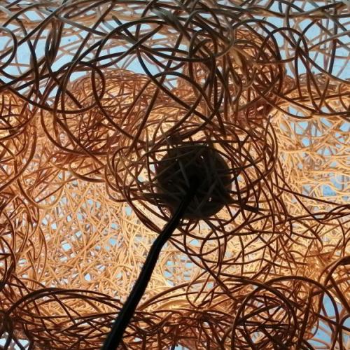 Jana Osterman / #3 and #4 round reeds